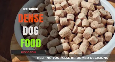 Fuel Your Furry Friend: Top Calorie-Dense Dog Foods for Active Pups