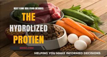 Exploring Premium Canine Nutrition: Top Dog Food Alternatives to Hydrolyzed Protein