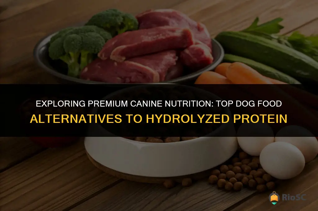 best cam dog food besides the hydrolized protien