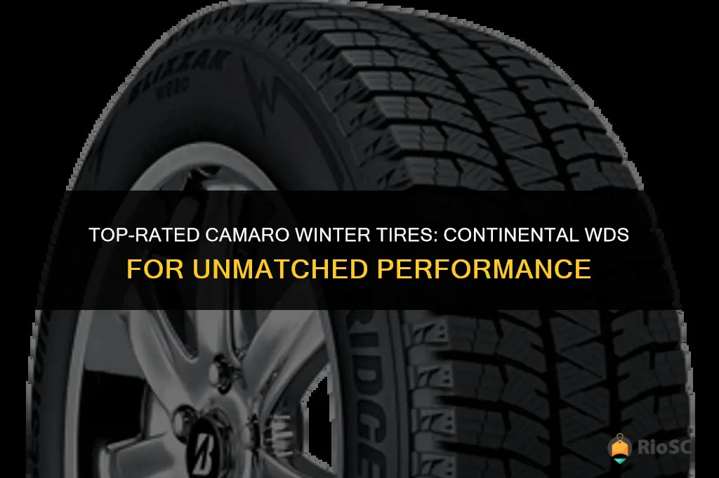 best camaro winter tires continental wds