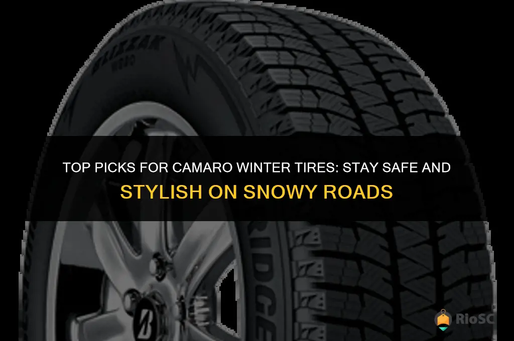 best camaro winter tires