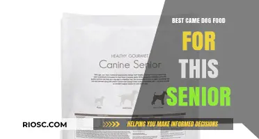 Top-Rated Senior Dog Food: Nourishing Options for Your Aging Companion