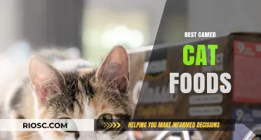 Purr-fect Nutrition: A Guide to the Best Wet Cat Foods for Your Feline Friend