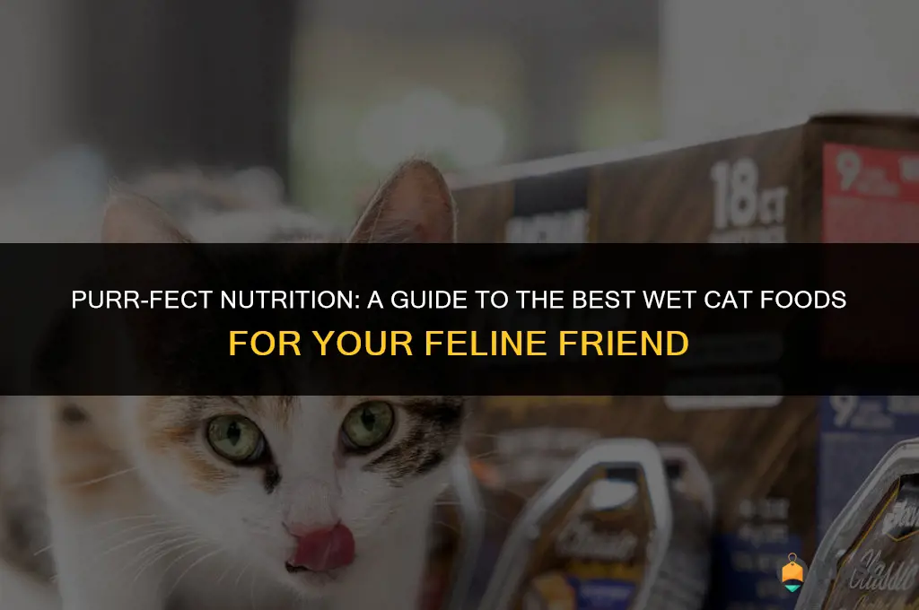 best camed cat foods