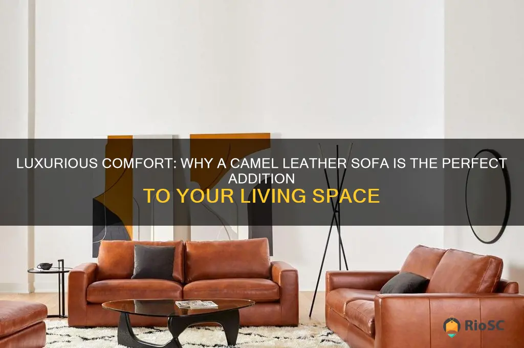 best camel leather sofa