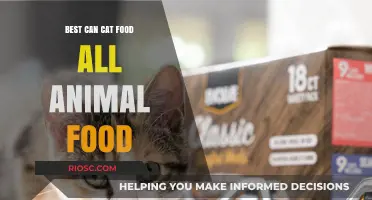 Top Picks for Your Feline Friends: The Best Can Cat Food Options Available