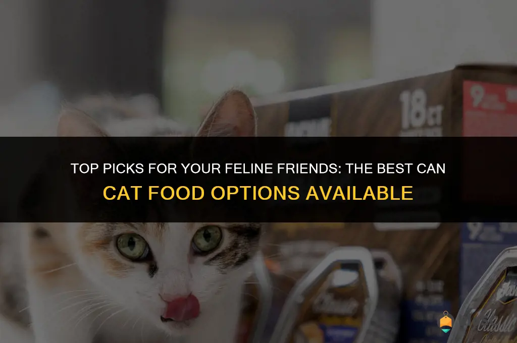 best can cat food all animal food