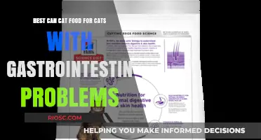 Top Picks for Sensitive Stomachs: The Best Can Cat Food for Gastrointestinal Health