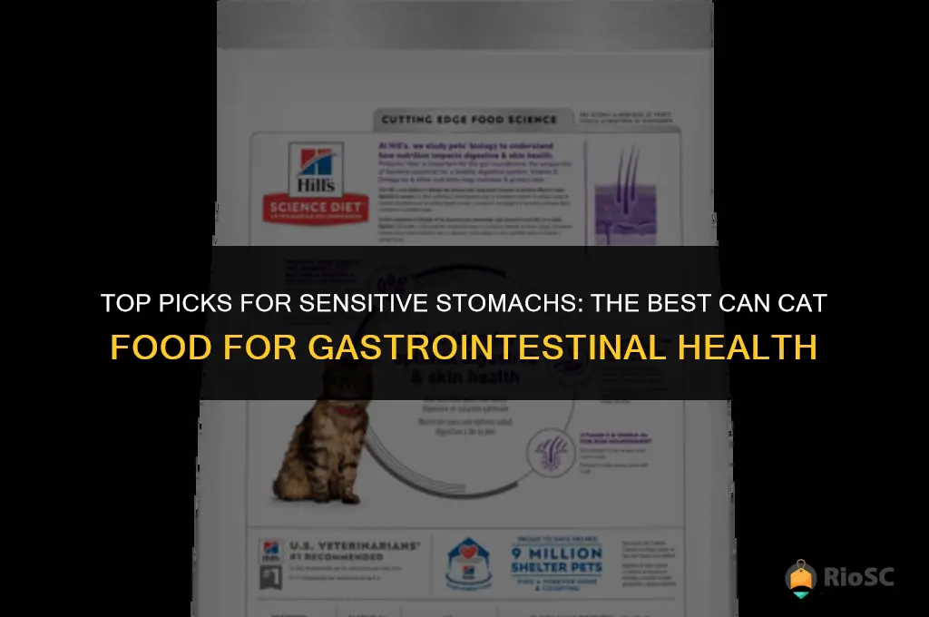 best can cat food for cats with gastrointestinal problems