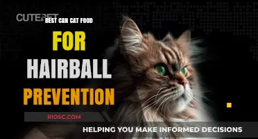 Top Picks for Hairball Prevention: The Best Canned Cat Foods to Keep Your Feline Friend Healthy and Happy