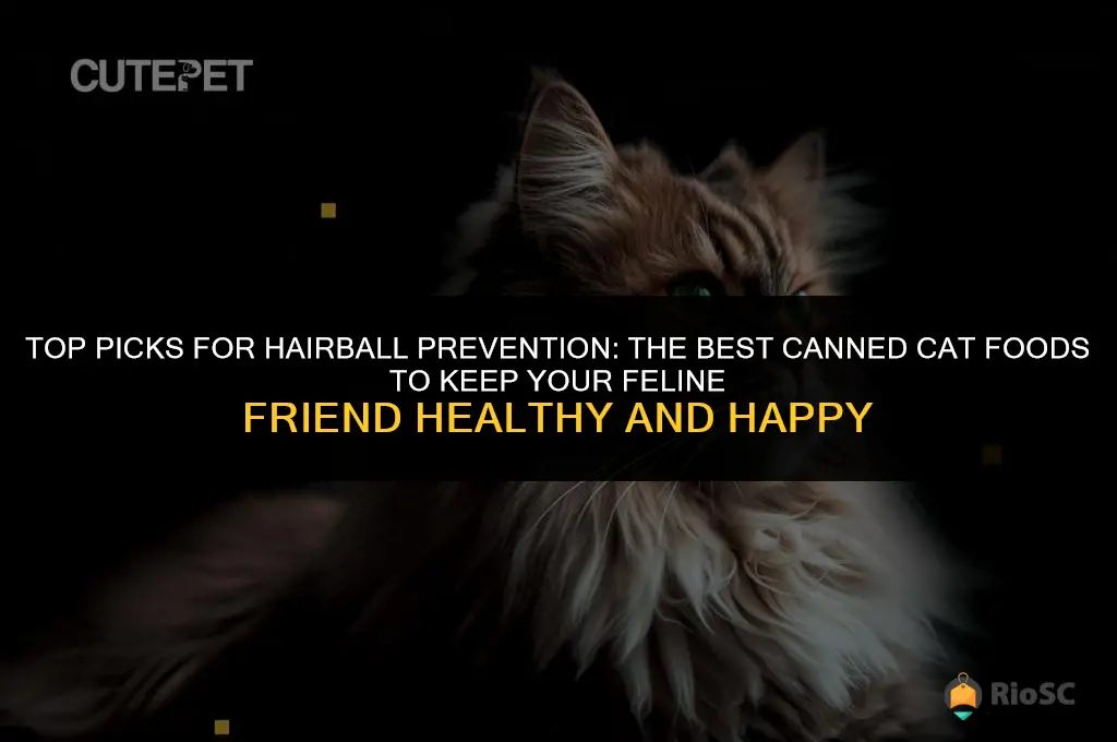 best can cat food for hairball prevention