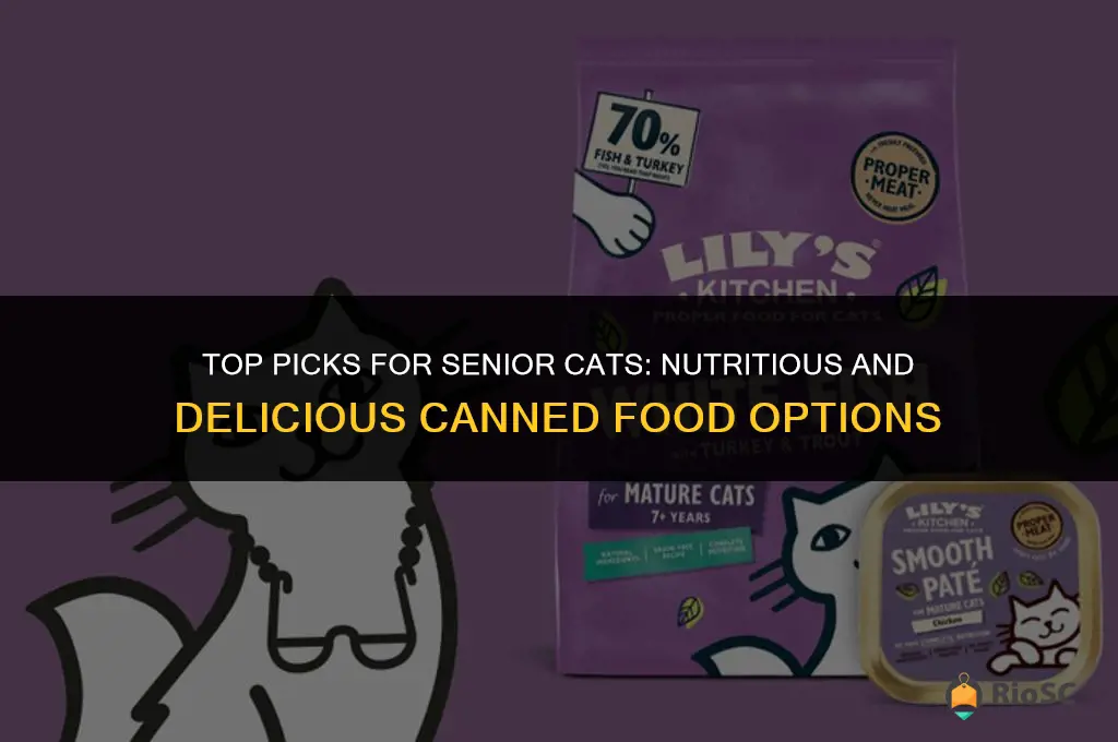 best can cat food for seniors