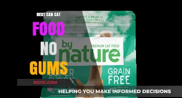 Top Picks for Grain-Free Cat Food: No Gums, All Nutrition