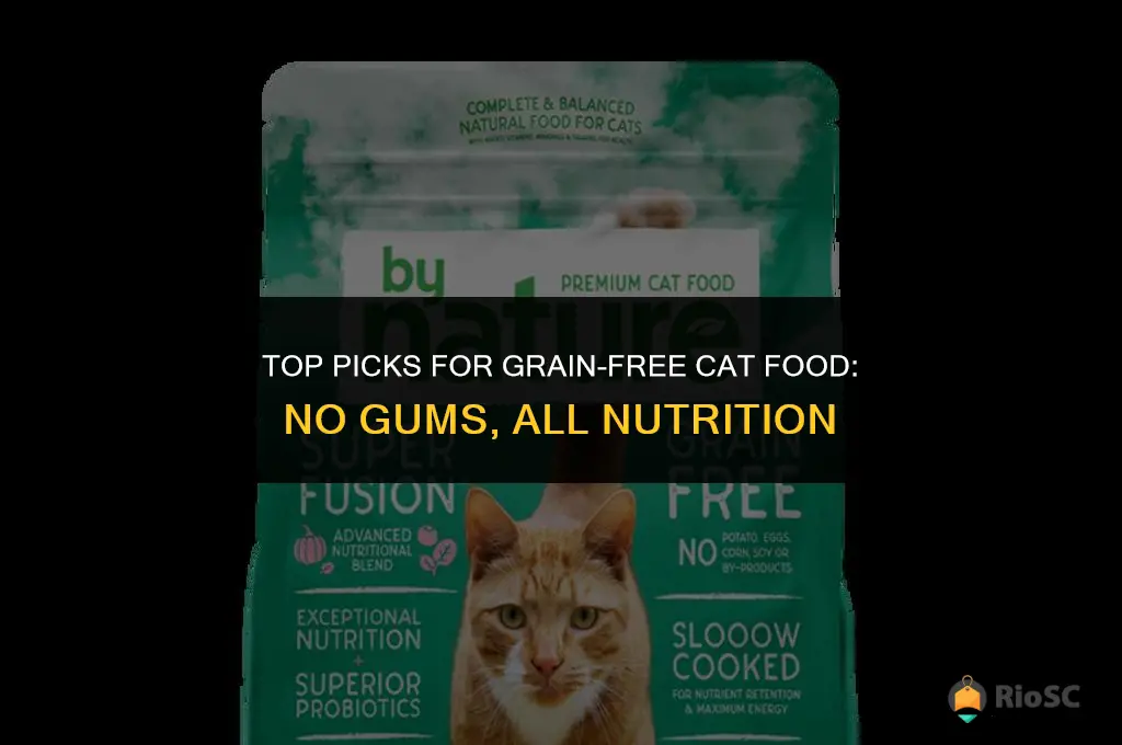 best can cat food no gums