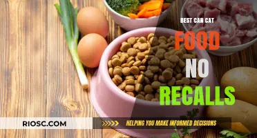 Top-Rated Can Cat Food Options: Safe and Recall-Free Choices for Your Feline Friend