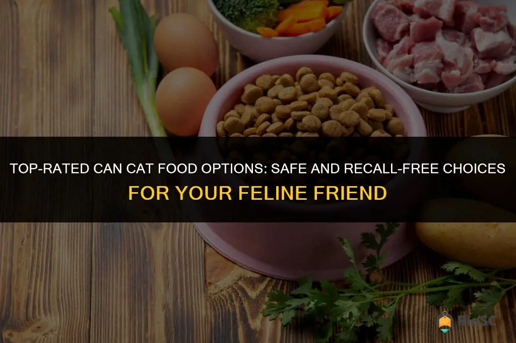 best can cat food no recalls