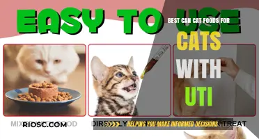 Top Picks for Feline Friends: Best Can Cat Foods to Support Cats with UTI