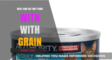 Top Grain-Inclusive Wet Cat Food Options: A Comprehensive Guide for Feline Nutrition