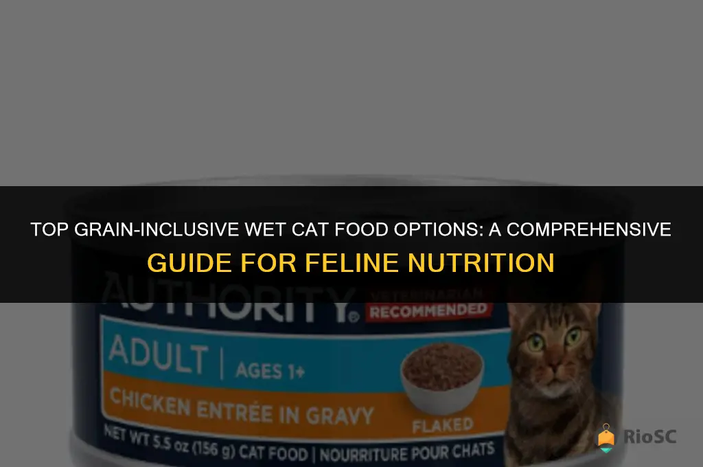 best can cat wet food with with grain