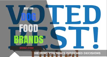 Top-Rated Can Dog Food Brands: A Comprehensive Guide for Pet Owners