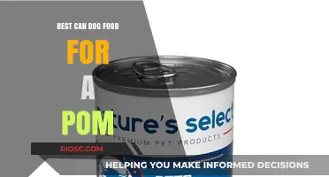 Top-Rated Canned Dog Foods for Your Pomeranian: A Comprehensive Guide