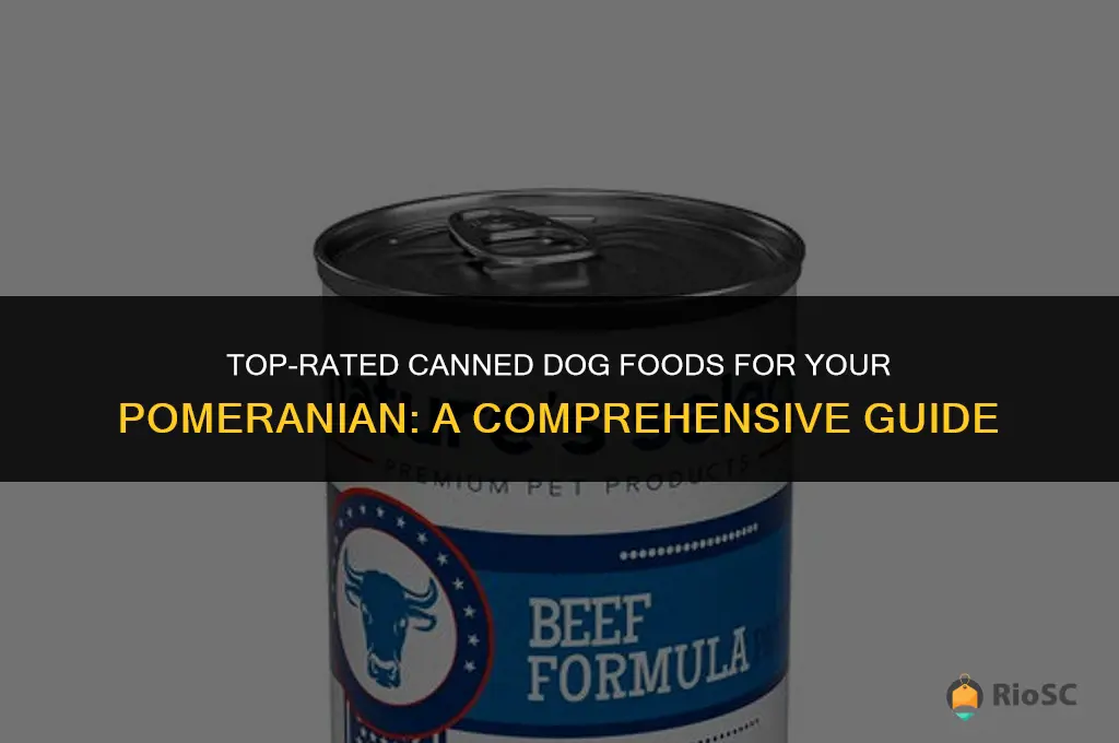 best can dog food for a pom