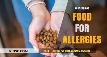 Top Picks for Hypoallergenic Canine Cuisine: Soothing Your Dog's Allergies with the Best Wet Food Options