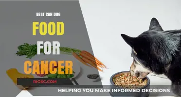 Top Picks for Cancer-Fighting Canine Nutrition: The Best Can Dog Food Options