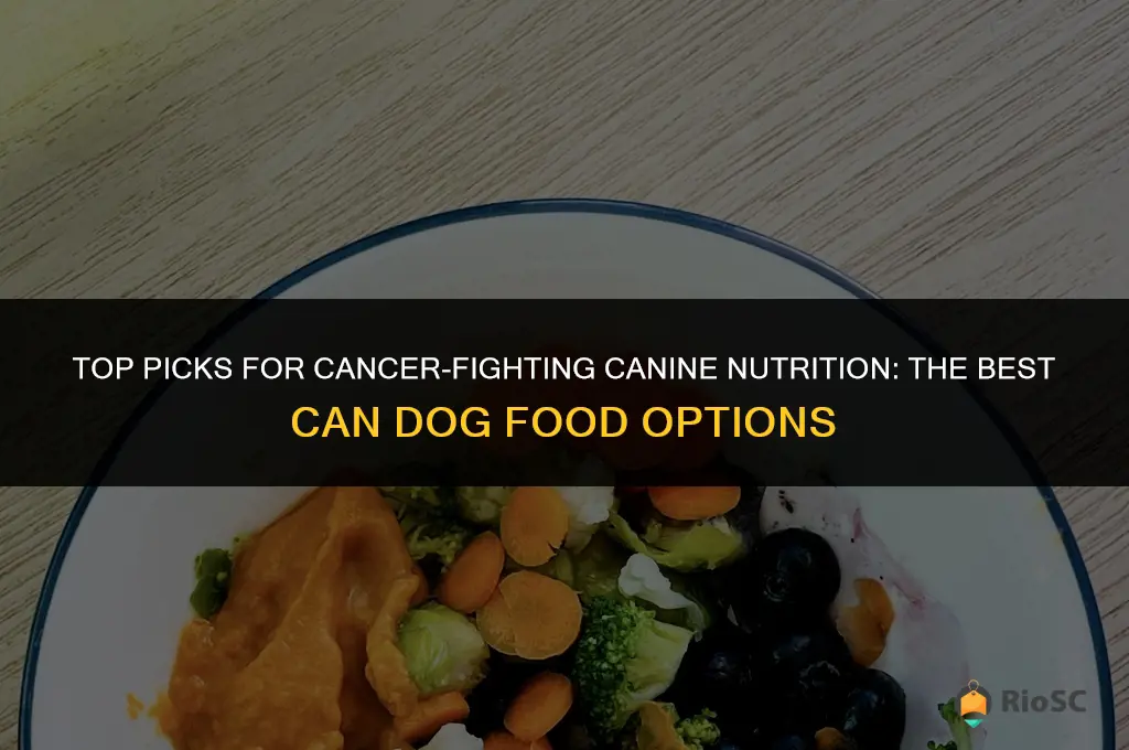 best can dog food for cancer