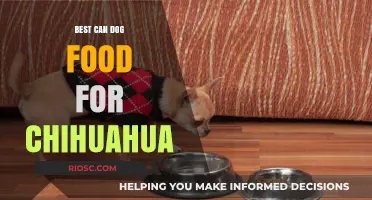 Top-Rated Canned Dog Foods for Chihuahuas: A Comprehensive Guide