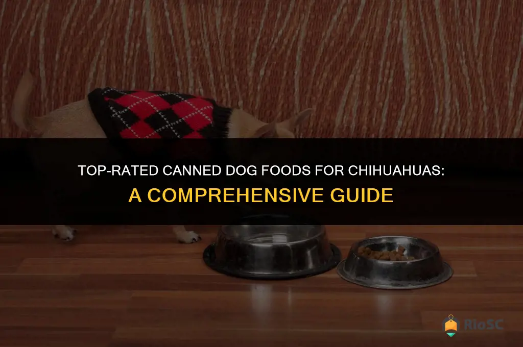 best can dog food for chihuahua