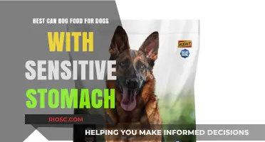 Gentle on the Tummy: Top Can Dog Food Picks for Sensitive Stomachs