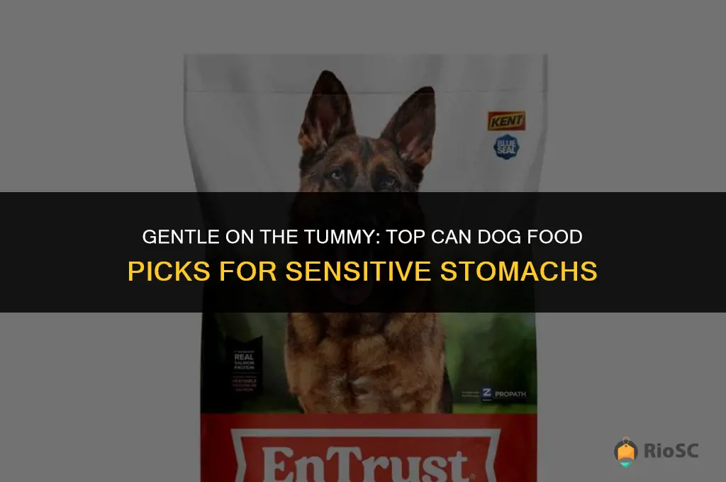 best can dog food for dogs with sensitive stomach