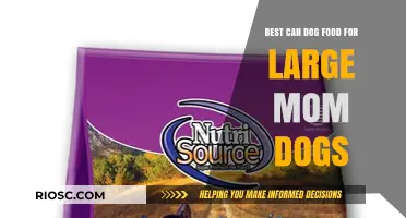 Nourishing the Big Moms: Top Can Dog Food Picks for Large Breeds
