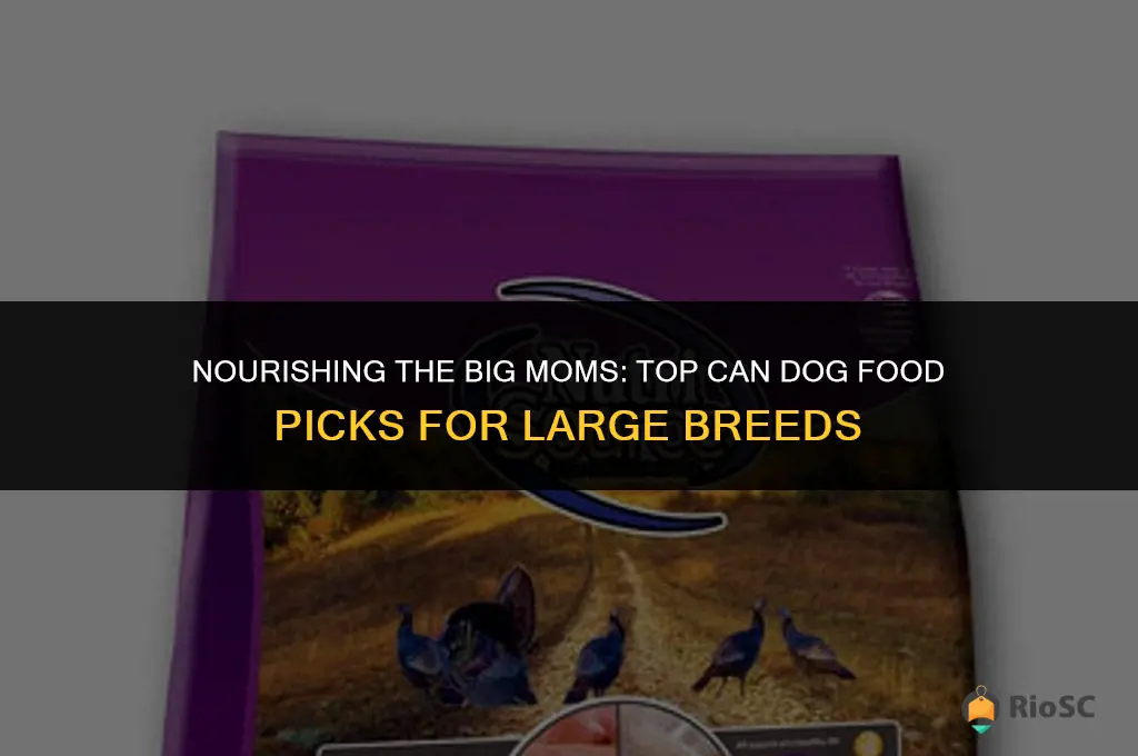 best can dog food for large mom dogs