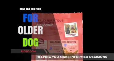Nutritious Delights: Top Can Dog Food Picks for Senior Canines
