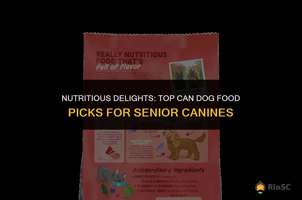 best can dog food for older dog