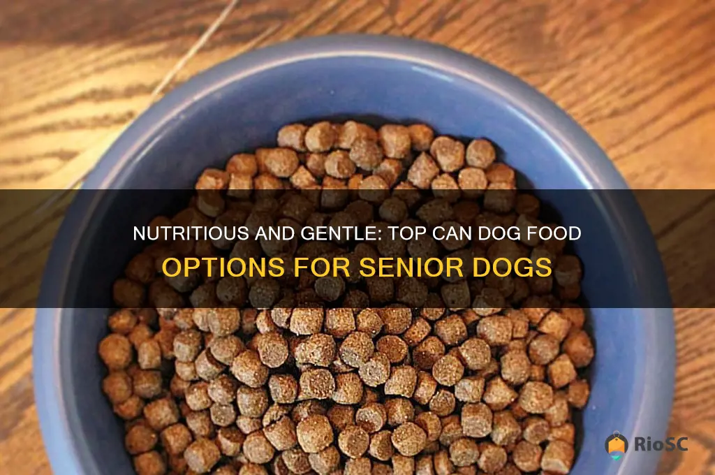 best can dog food for older dogs