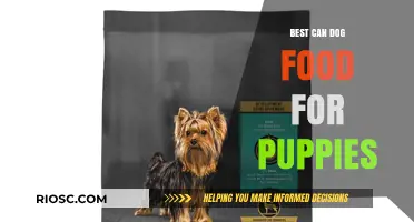 Nourishing Growth: Top Can Dog Food Choices for Puppies