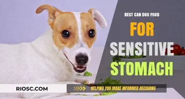 Gentle on the Tummy: Top Can Dog Food Options for Sensitive Stomachs