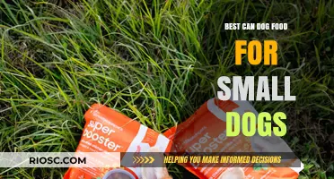 Top-Rated Can Dog Food Options for Small Breeds: A Comprehensive Guide