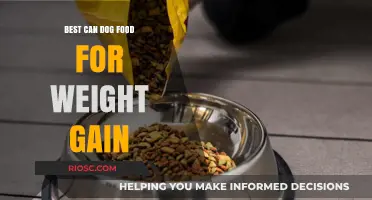 Optimal Canine Cuisine: Top Dog Food Choices for Healthy Weight Gain