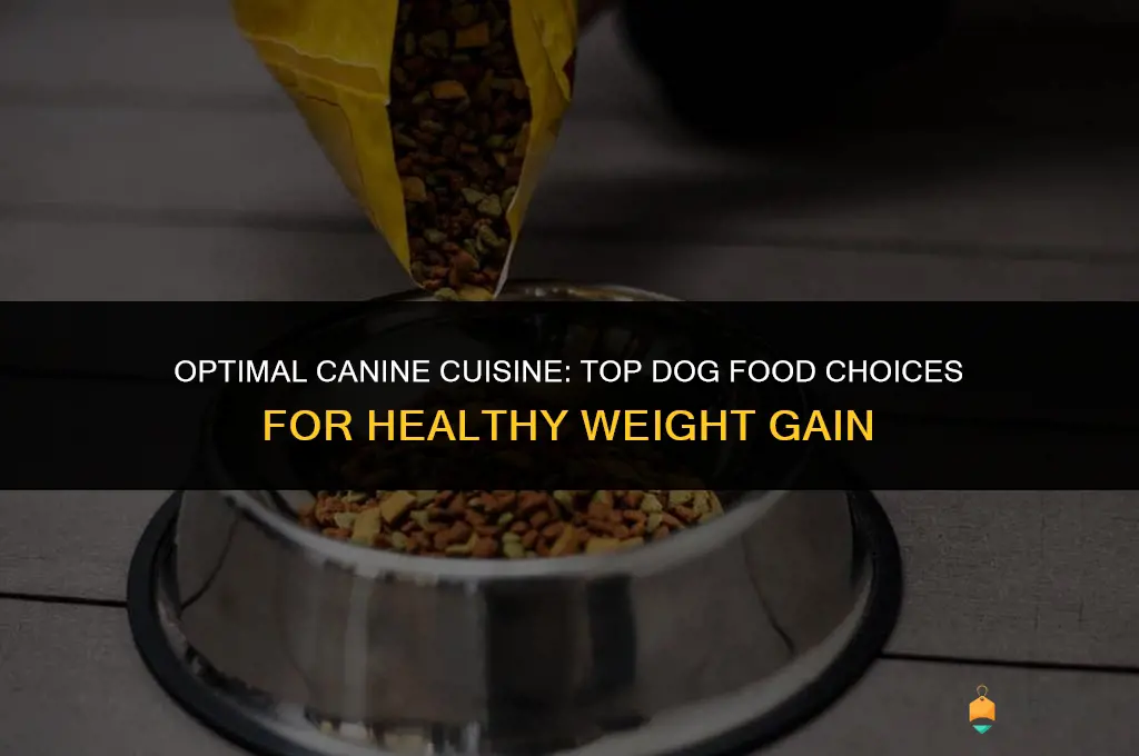 best can dog food for weight gain