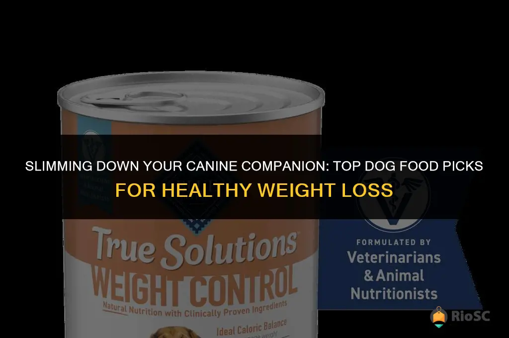 best can dog food for weight loss