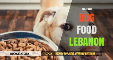 Top-Rated Can Dog Food Options in Lebanon: A Comprehensive Guide for Pet Owners