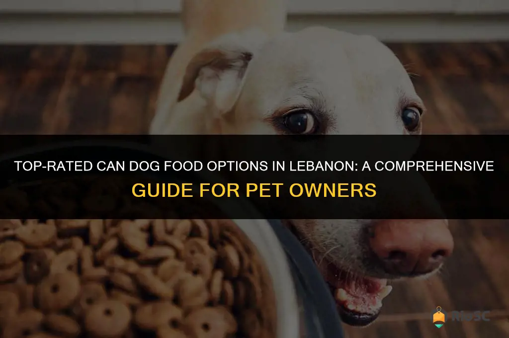 best can dog food lebanon