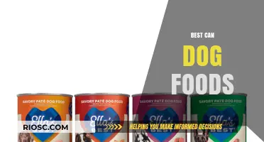 Top-Rated Can Dog Foods: A Comprehensive Guide for Pet Owners