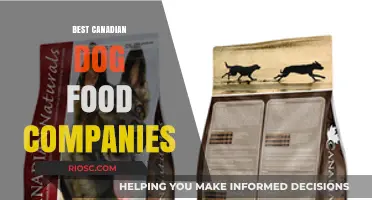 Top-Rated Canadian Dog Food Brands: A Comprehensive Guide for Pet Owners