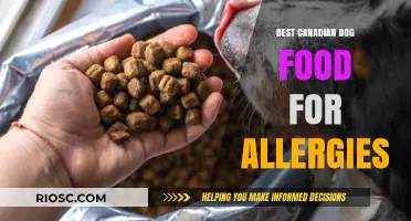 Top Canadian Dog Food Picks for Allergy Relief: A Comprehensive Guide