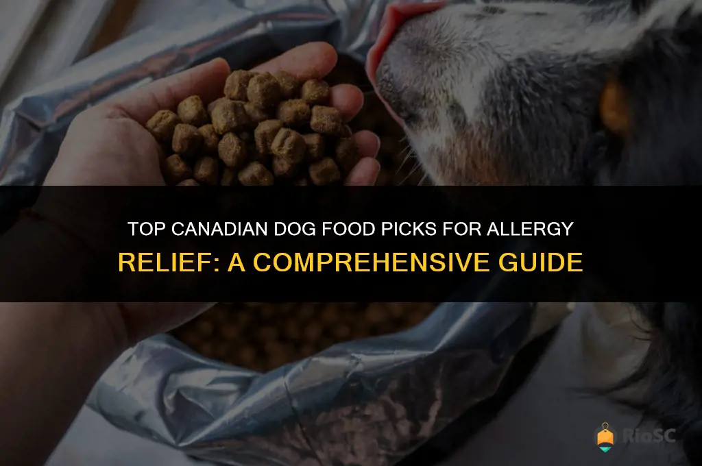 best canadian dog food for allergies